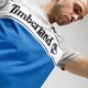 pánske tričko TIMBERLAND TRIČKO SS SS CUT & SEW LINEAR LOGO TEE tb0a1oa4x361 farba sivá