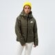 dámska zimná bunda NIKE BUNDA W NSW TF RPL CLASSIC TAPE JKT dj6997-222 farba zelená