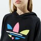 detská mikina ADIDAS MIKINA S KAPUCŇOU HOODIE GIRL h32388 farba čierna