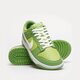 pánske tenisky (obuv) NIKE DUNK LOW RETRO dj6188-300 farba zelená