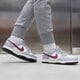 dámske tenisky (obuv) NIKE DUNK LOW dd1503-122 farba sivá