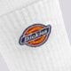 dámske ponožky DICKIES PONOŽKY VALLEY GROVE SOCKS dk0a4x82whx1 farba biela