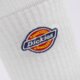 dámske ponožky DICKIES PONOŽKY VALLEY GROVE SOCKS dk0a4x82whx1 farba biela