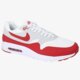 pánske tenisky (obuv) NIKE AIR MAX 1 ULTRA ESSENTIAL 819476106 farba biela