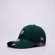 pánska šiltovka NEW ERA ČIAPKA MINI LOGO 920 TIGERS DETROIT TIGERS 60691335 farba zelená