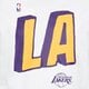 pánske tričko NIKE TRIČKO LOS ANGELES LAKERS dr6723-100 farba biela