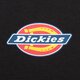 dámske tričko DICKIES TRIČKO MAPLE VALLEY TEE dk0a4xpoblk1 farba čierna