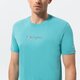 pánske tričko CHAMPION TRIČKO CREWNECK TRIČKO 217219bs148 farba zelená
