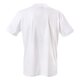pánske tričko NEW ERA TRIČKO CURLY WORDMARK TEE WHT 10996663 farba biela