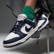 dámske tenisky (obuv) NIKE W DUNK LOW NN fz6770-001 farba tmavomodrá