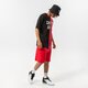 pánske šortky NEW ERA ŠORTKY  WASHED LOGO BULLS CHICAGO BULLS FDR 13083852 farba červená