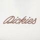 dámske top DICKIES TRIČKO DICKIES ROPE SS TEE W dk0a4z8mk471 farba hnedá