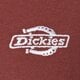 dámske tričko DICKIES TRIČKO SUMMERDALE SS TEE dk0a4y1bl161 farba hnedá