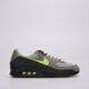 pánske tenisky (obuv) NIKE AIR MAX 90  iq0289-010 farba sivá