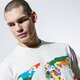 pánske tričko VANS TRIČKO MN SAVE OUR PLANET S NATURAL vn0a49kl7vj1 farba viacfarebná