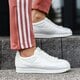 dámske tenisky (obuv) NIKE WMNS CLASSIC CORTEZ NYLON 749864-103 farba sivá