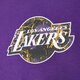 pánske tričko NEW ERA TRIČKO INFILL TEAM LOGO OS LAKERS LOS ANGELES LAKERS 60332134 farba fialová