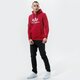 pánska mikina ALPHA INDUSTRIES MIKINA S KAPUCŇOU BASIC HOODY 178312-523 farba bordová
