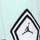 pánske šortky JORDAN ŠORTKY dh9075-379 farba tyrkysová
