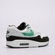 pánske tenisky (obuv) NIKE AIR MAX 1 ESS fn6952-100 farba biela