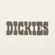 pánske tričko DICKIES TRIČKO BUCHTELL SS TEE dk0a883bc481 farba biela