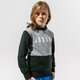 detská mikina JORDAN MIKINA S KAPUCŇOU JDB JUMPMAN AIR FT PO BOY 95a287-geh farba sivá