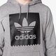 pánska mikina ADIDAS MIKINA BLKBRD BASIC HD ay8886 farba sivá