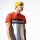 pánske tričko TIMBERLAND TRIČKO SS SS CUT & SEW LINEAR LOGO TEE tb0a1oa48451 farba viacfarebná