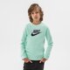 detská mikina NIKE MIKINA NIKE SPORTSWEAR CLUB FLEECE BOY cv9297-379 farba zelená
