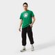 pánske tričko NIKE TRIČKO BOS M NK DF ES LOGO SS TEE NBA da6001-312 farba zelená
