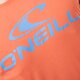 pánske tričko O'NEILL TRIČKO O'NEILL S/S 5023962525 farba oranžová