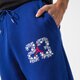 pánske nohavice JORDAN NOHAVICE  M J SPRT DNA FLC PANT dj0190-455 farba modrá