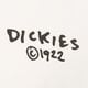 pánske tričko DICKIES TRIČKO SNEEDVILLE TEE SS dk0a87qoc481 farba béžová