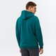pánska mikina PUMA MIKINA S KAPUCŇOU ESS BIG LOGO HOODIE FL (S) 586687 20 farba zelená