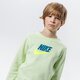 detská mikina NIKE MIKINA SPORTSWEAR CLUB FLEECE BOY cv9297-383 farba zelená