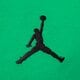 detské tričko JORDAN TRIČKO JUMPMAN AIR EMB BOY 95a873-f4f farba zelená