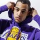 pánska mikina NIKE MIKINA S KAPUCŇOU LOS ANGELES LAKERS ESSENTIAL NBA cn1197-504 farba fialová
