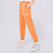 NEW BALANCE NOHAVICE  NB ESSENTIALS GRAPHIC FLEECE