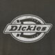 pánske tričko DICKIES TRIČKO PLAINVILLE SS TEE dk0a88gnblk1 farba sivá