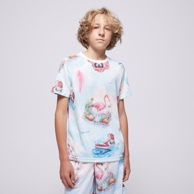 E-shop Jordan Jdb Jordan Flamingo Aop Ss Tee Boy Viacfarebná EUR 128 -132 cm