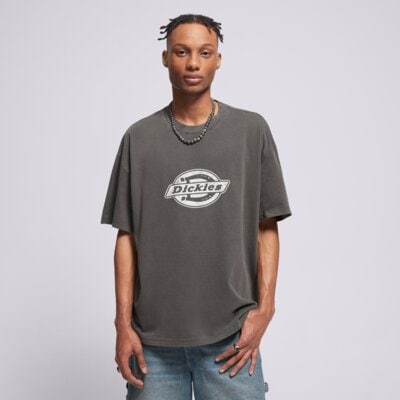 Dickies Plainville Ss Tee Sivá EUR XL